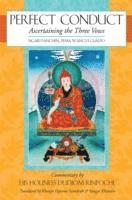Ngari Panchen, Dudjom Rinpoche, Pema Wangyi Gyalpo - Perfect Conduct, Häftad