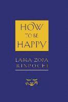 bokomslag How to be Happy