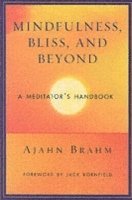 bokomslag Mindfulness Bliss and Beyond