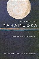 bokomslag Essentials of Mahamudra