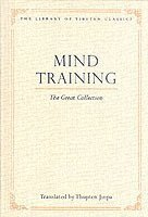 bokomslag Mind Training