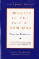 bokomslag Liberation in the Palm of Your Hand