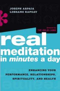 bokomslag Real Meditation in Minutes a Day