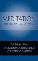 bokomslag Meditation on the Nature of Mind