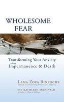 bokomslag Wholesome Fear