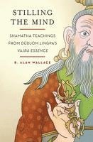 B. Alan Wallace, B Alan Wallace, Brian Hodel - Stilling the Mind, Häftad