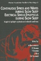Continuous Spikes & Waves During Slow Sleep Electrical Status Epilepticus During Slow Sleep 1