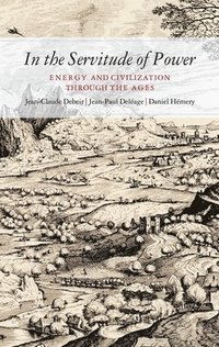 bokomslag In the Servitude of Power: Energy and Civilization Through the Ages