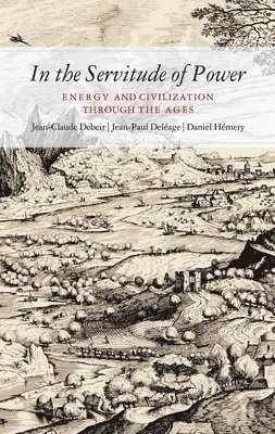 Jean-Paul Deléage, Jean-Claude Debeir, Daniel Hémery - In the Servitude of Power: Energy and Civilization Through the Ages, Häftad