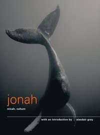 bokomslag The Books of Jonah, Micah and Nahum