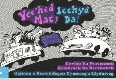 bokomslag Yec'hed Da! Geriou Ha Frazennou Kembraek Ha Brezhonek / Iechyd Da! Geiriau a Brawddegu Cymraeg a Llydaweg