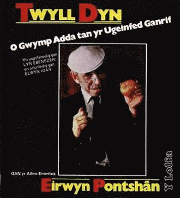 bokomslag Twyll Dyn - O Gwymp Adda tan yr Ugeinfed Ganrif