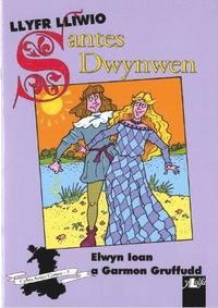 bokomslag Cyfres Arwyr Cymru: 3. Llyfr Lliwio Santes Dwynwen