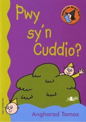 bokomslag Cyfres Darllen Mewn Dim - Cam y Dewin Dwl: Pwy Sy'n Cuddio?