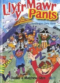 bokomslag Llyfr Mawr y Pants