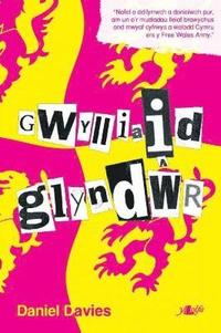 bokomslag Gwylliaid Glynd?r