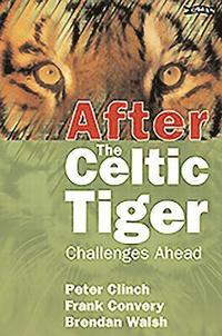 bokomslag After the Celtic Tiger