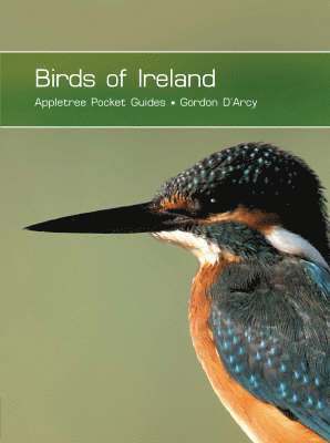 Gordon D'Arcy - Birds of Ireland, Häftad