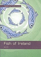 Ian Hill - Fish of Ireland, Häftad