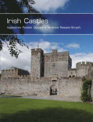 Irish Castles