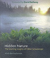 bokomslag Hidden Nature