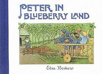 bokomslag Peter in Blueberry Land