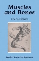 bokomslag Muscles and Bones