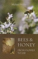 Bees and Honey, from Flower to Jar