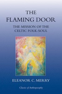 bokomslag The Flaming Door