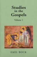 Studies in the Gospels: Volume 1 1