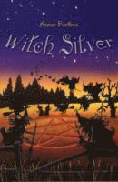 bokomslag Witch Silver