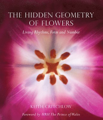 bokomslag Hidden Geometry of Flowers