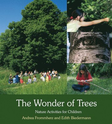 The Wonder of Trees 1