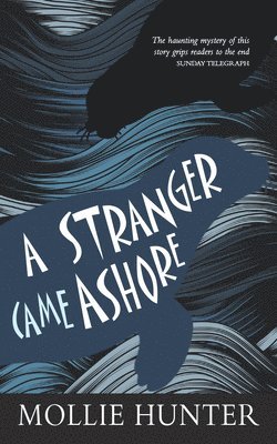 bokomslag Stranger Came Ashore
