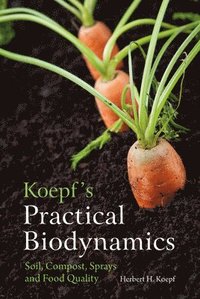 bokomslag Koepf's Practical Biodynamics