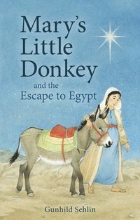 bokomslag Mary's Little Donkey
