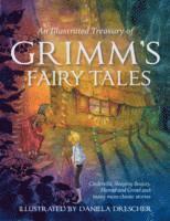bokomslag An Illustrated Treasury of Grimm's Fairy Tales