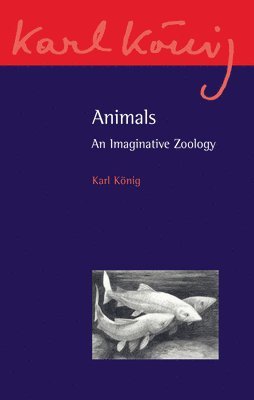 bokomslag Animals