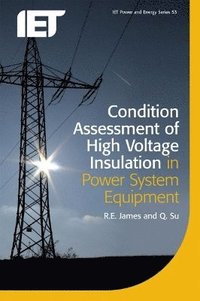 bokomslag Condition Assessment of High Voltage Insulation in Power System Equipment