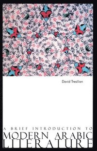 bokomslag A Brief Introduction to Modern Arabic Literature