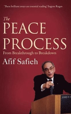 bokomslag Peace Process