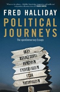 bokomslag Political Journeys