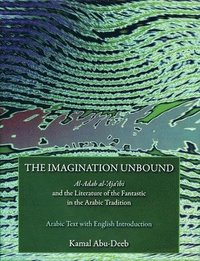 bokomslag The Imagination Unbound