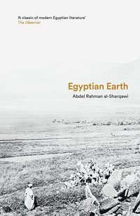 bokomslag Egyptian Earth