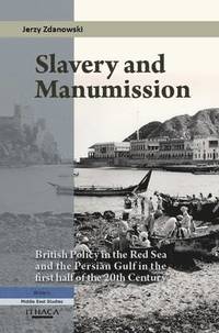 bokomslag Slavery and Manumission