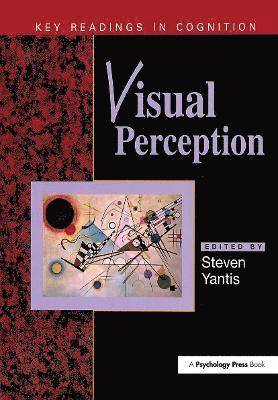 Visual Perception 1