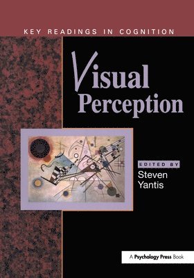 bokomslag Visual Perception