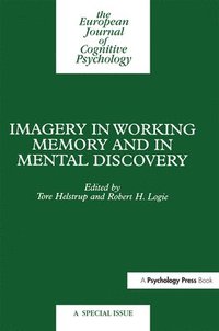 bokomslag Imagery In Working Memory And Mental Discovery