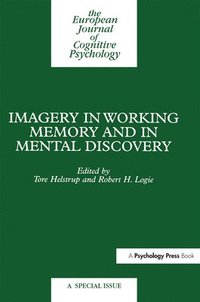 bokomslag Imagery in Working Memory and Mental Discovery