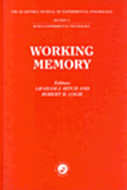 bokomslag Working Memory